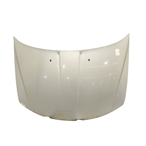 CAPÔ DODGE JOURNEY RT 2.7 V6 185CV AUT PRATA 2010/10