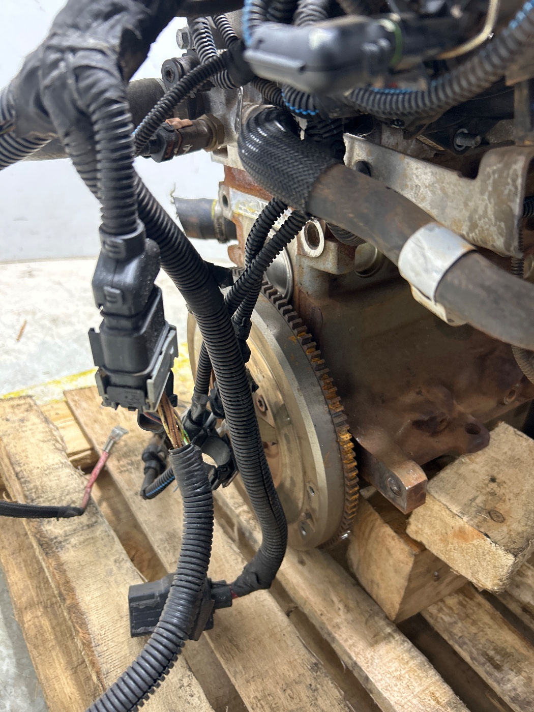 MOTOR SEMICOMPL - 55272080 - Mobi, Palio, Grand Siena