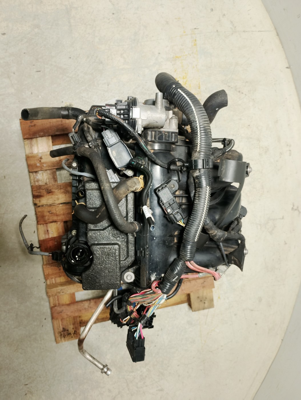 MOTOR B4D 402 FLEX LS - 8201678680 - 