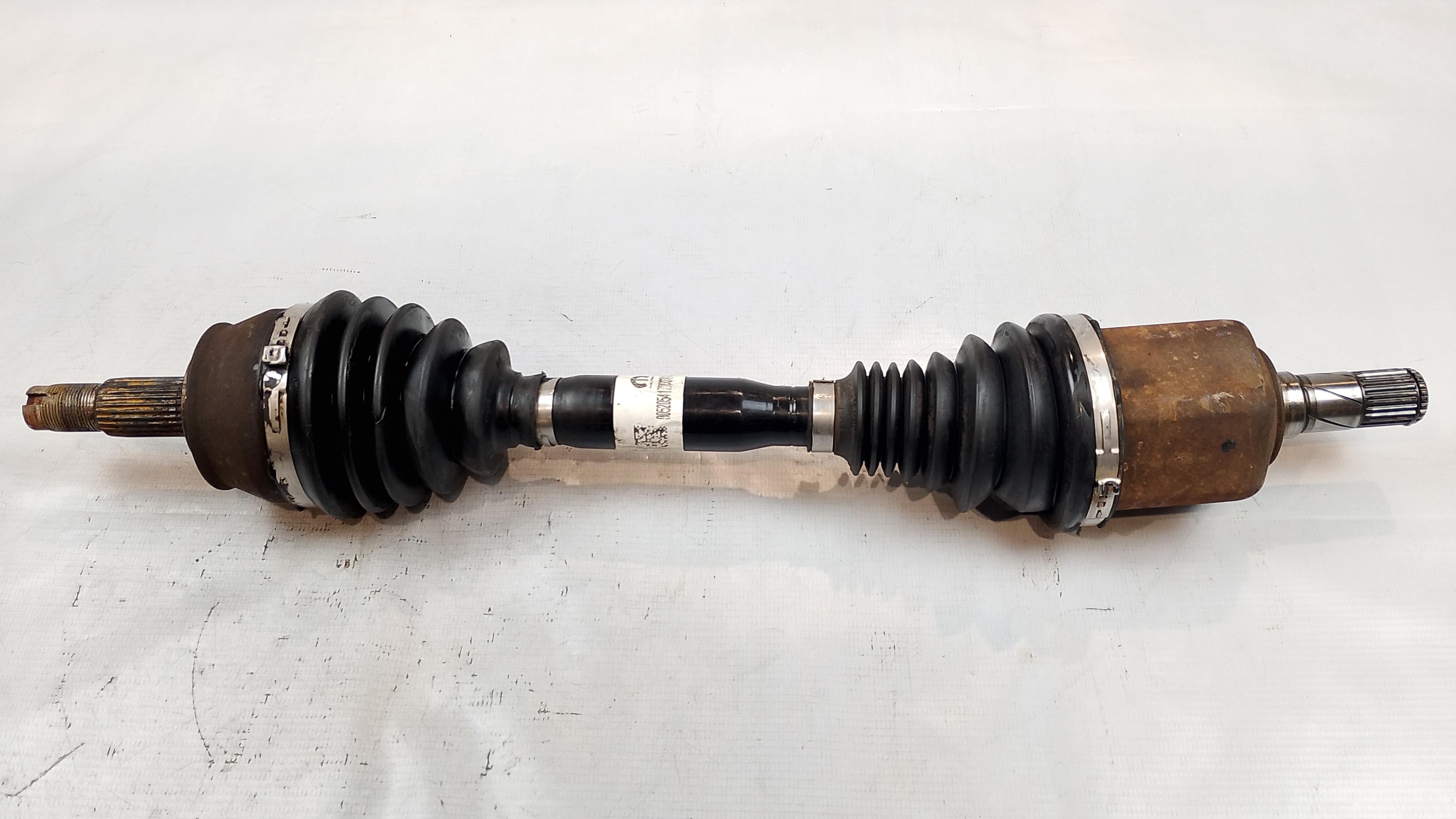 SEMI ARVORE DIA - 52054179 - 