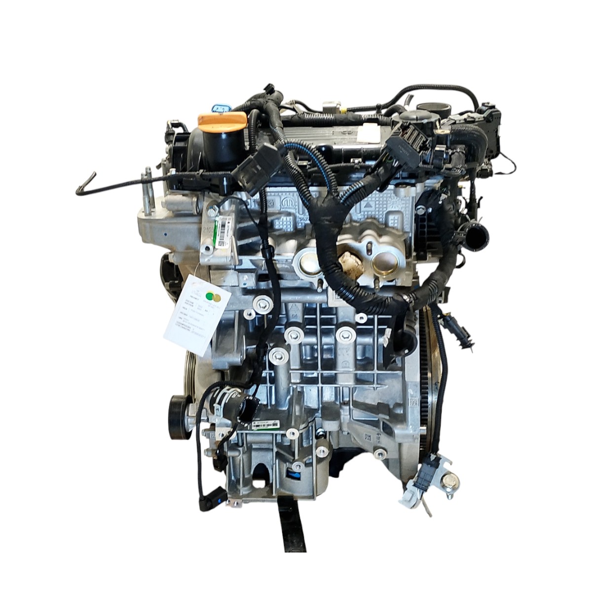 MOTOR GASO - 1681128580 - 