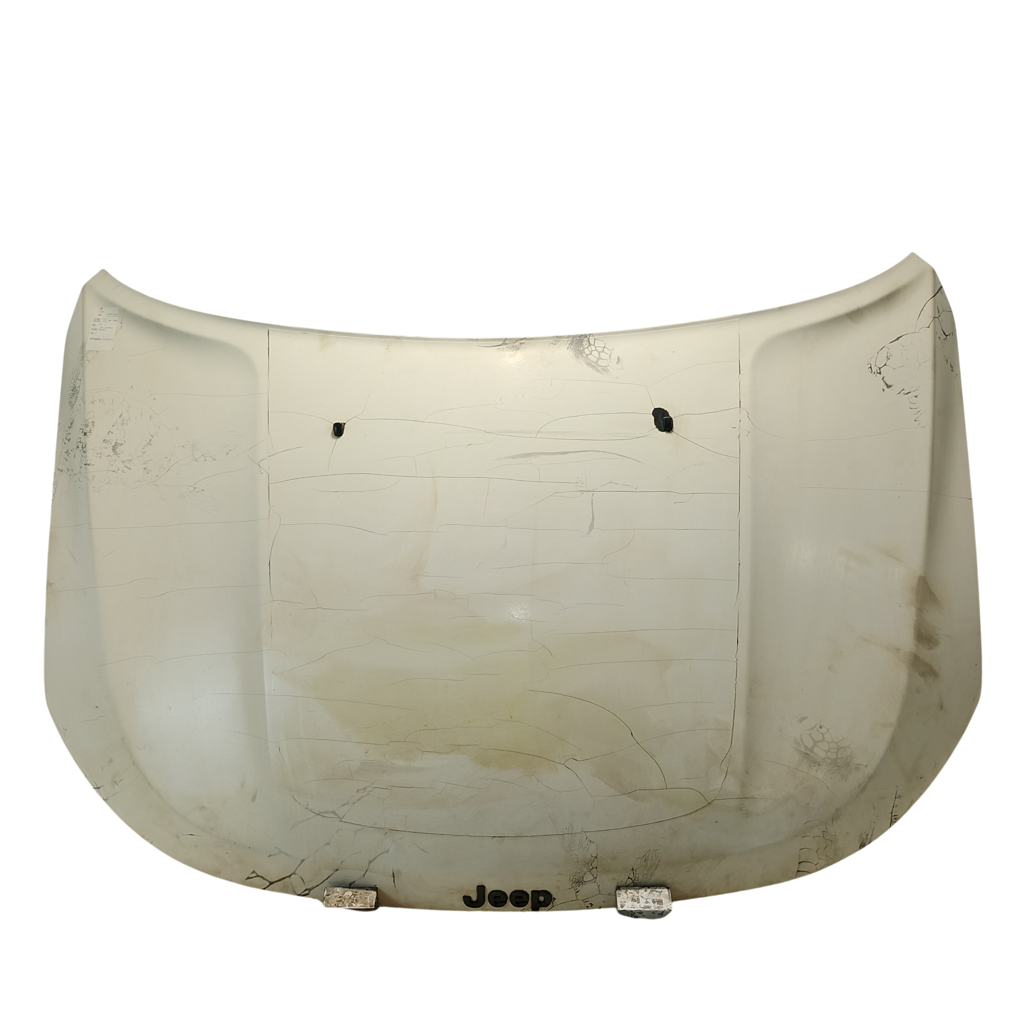 CAPO MOTOR - 53430193 - 