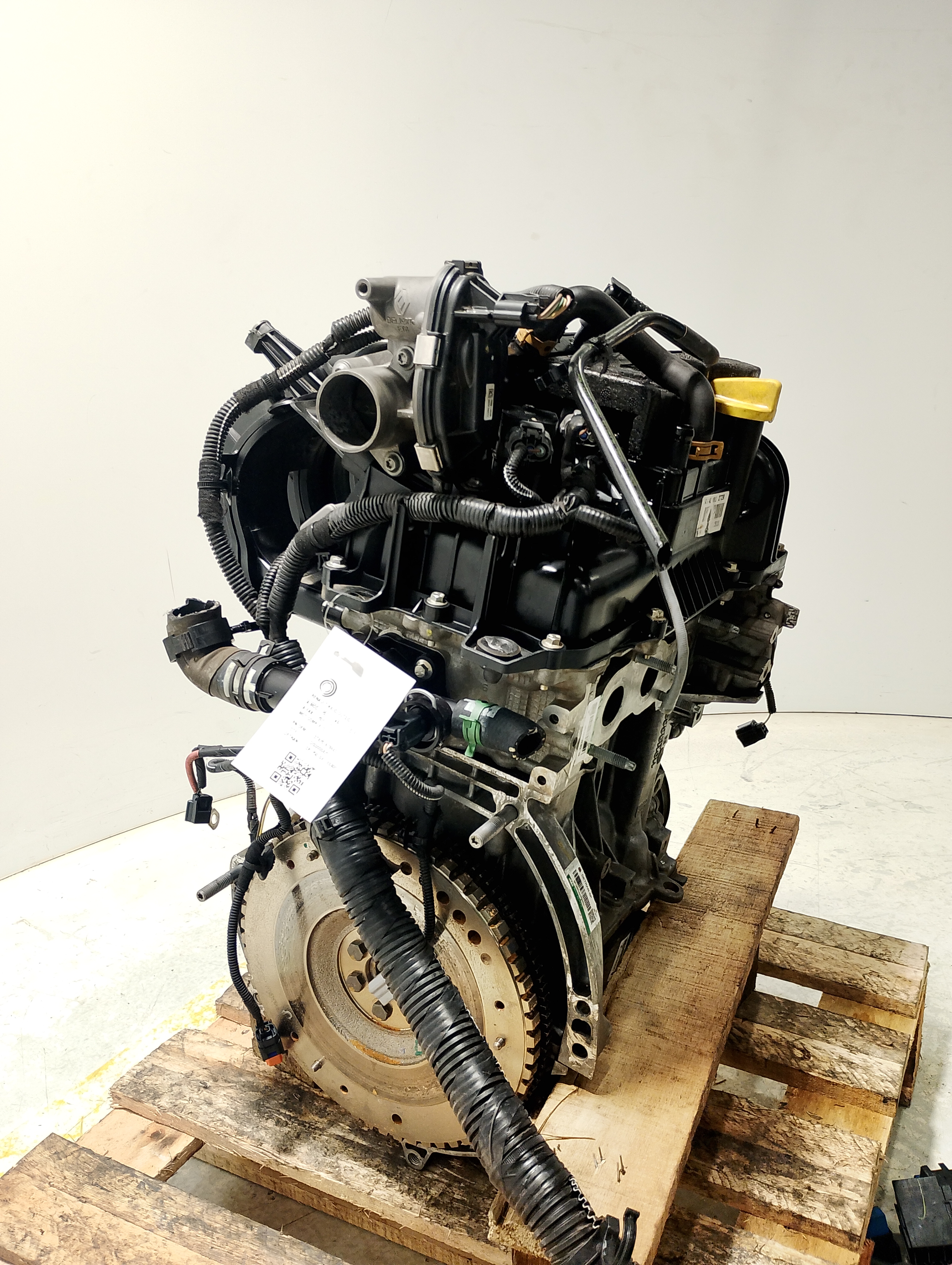MOTOR B4D 402 FLEX LS - 8201678680 - 