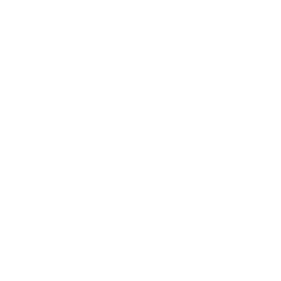 Circular Autopeças